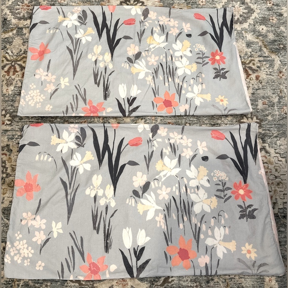 Paule Marrot Anthropologie Meadow pair of king shams~blue